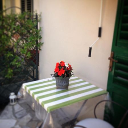 Bed and Breakfast Terrazza Ginori Sesto Fiorentino Pokoj fotografie
